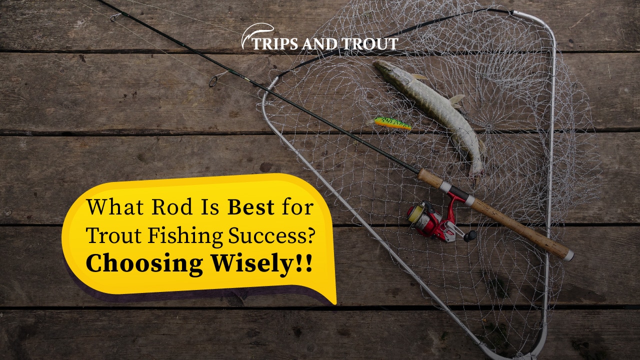 What Rod Is Best for Trout Fishing Success? Choosing Wisely!!